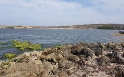 Co na suchą cerę sprawdza się latem?