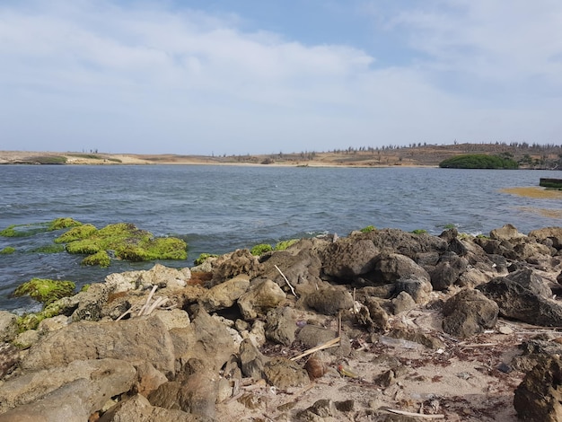 Co na suchą cerę sprawdza się latem?